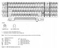 3101layout.jpg