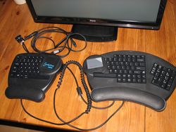 Kinesis-Evolution1.jpg