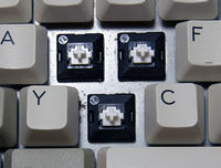 Marquardt switches.jpg